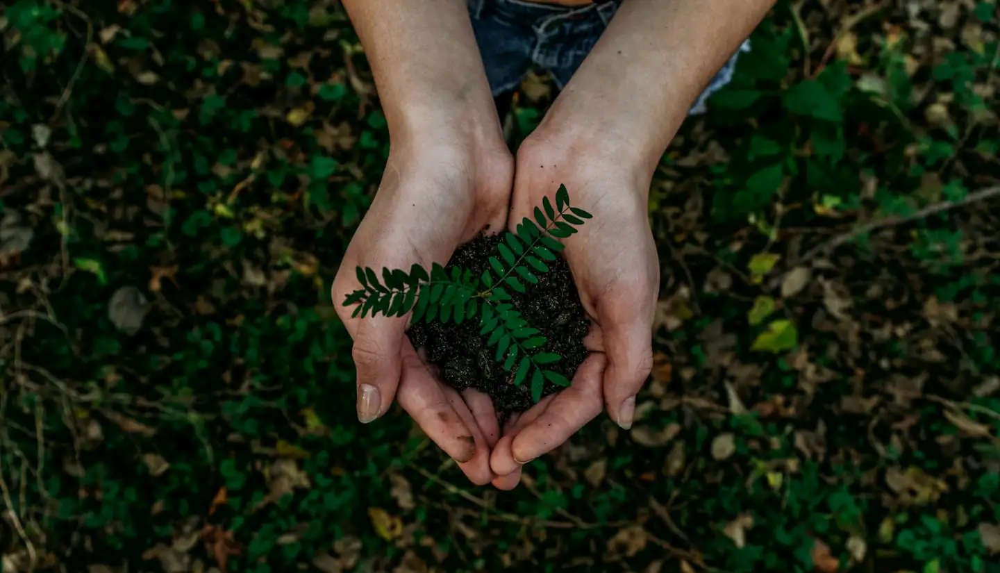 Community resilience